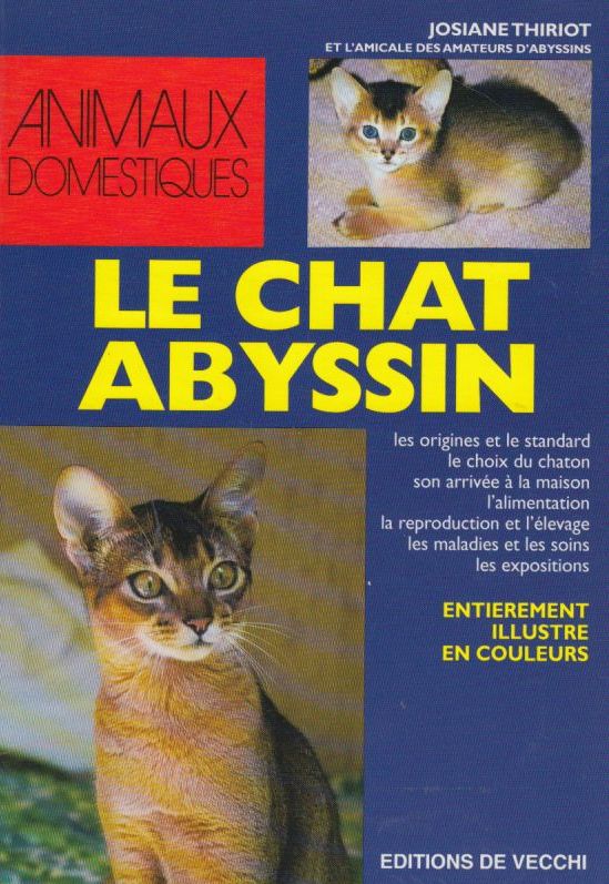 le_chat_abyssin